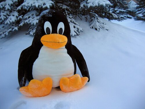 Linux 5.19.12